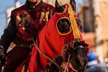 The History and Evolution of Pet Adornment Armor Of A Knight Mounted 1