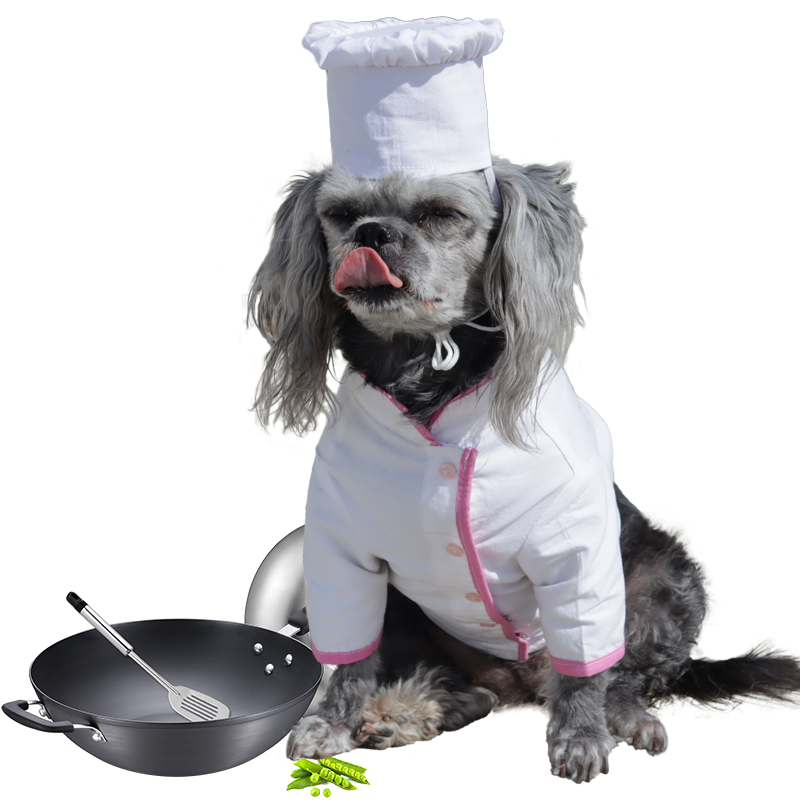 Cook-off_Master_chef Cook-off Master Chef Dog