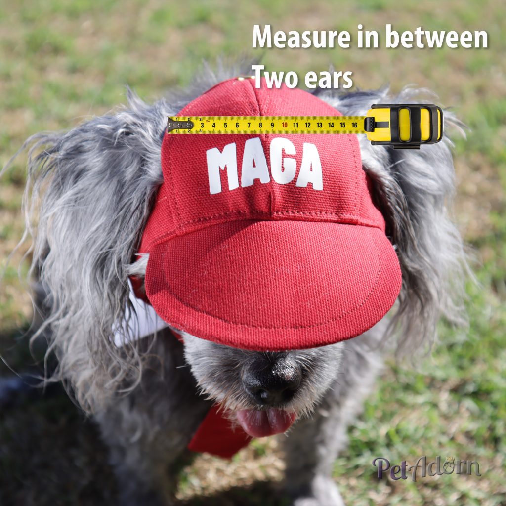 NIH5006R 8 1024x1024