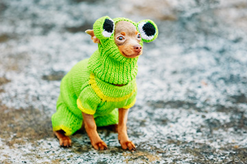 dress-up-puppy Dress Up Puppy