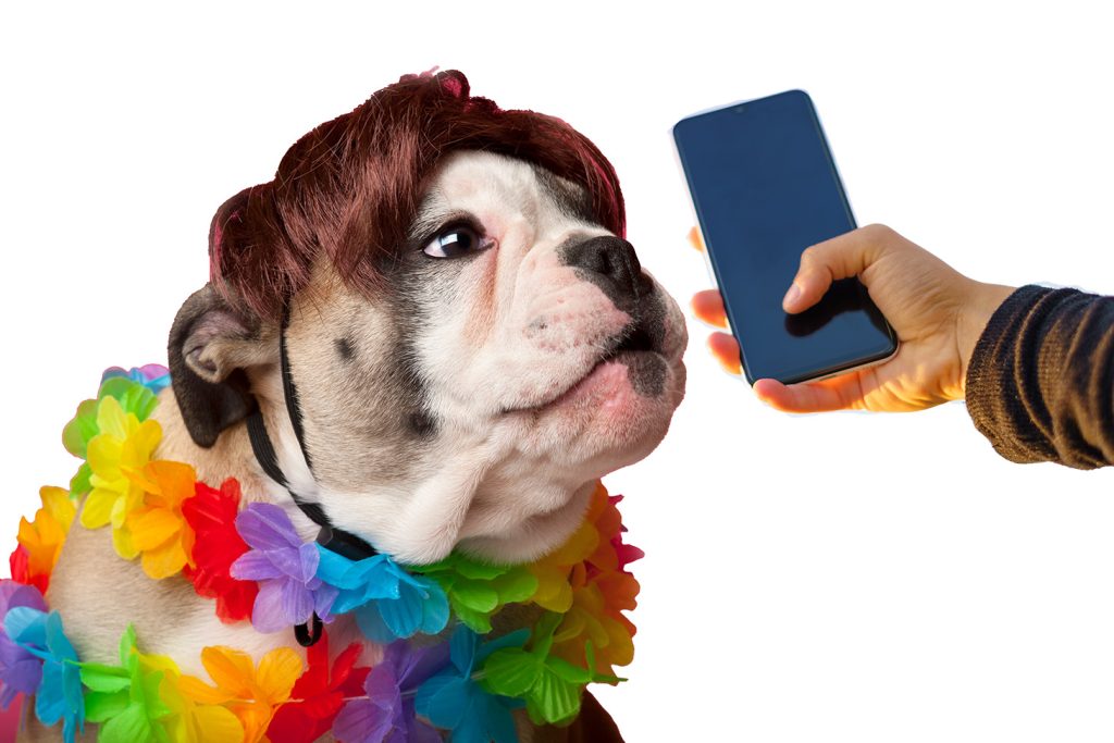 The Ultimate Dog Fashion Guide: How to Shop Right, Smart and Skip the Return Drama Selfie With A Dog 1024x683