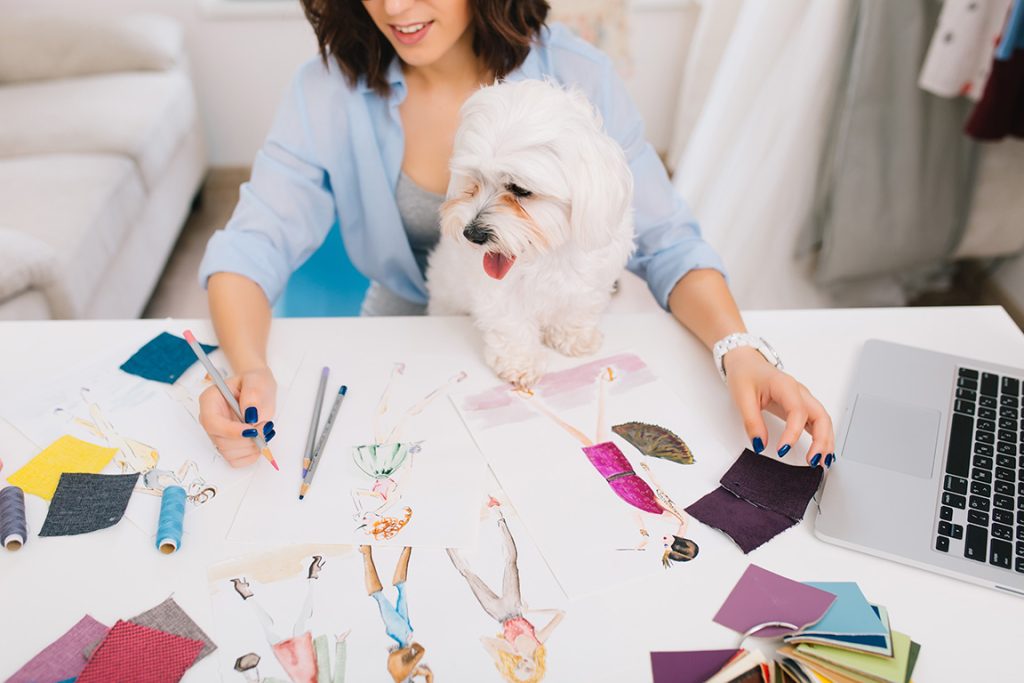 Buy or DIY? The Ultimate Dog Outfit Showdown Sew With Dog 1024x683